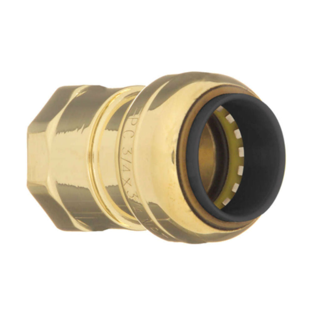 1-1/2" Brass Push Fit Female Adapter 10188058