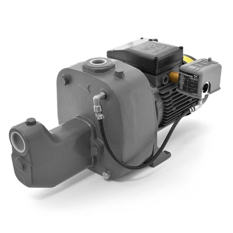 JP15S-CI Cast Iron Shallow Well Jet Pump, 1.5 HP, 230V
