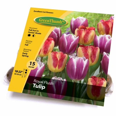 Tulip Royal Flush Blend, 15-ct.