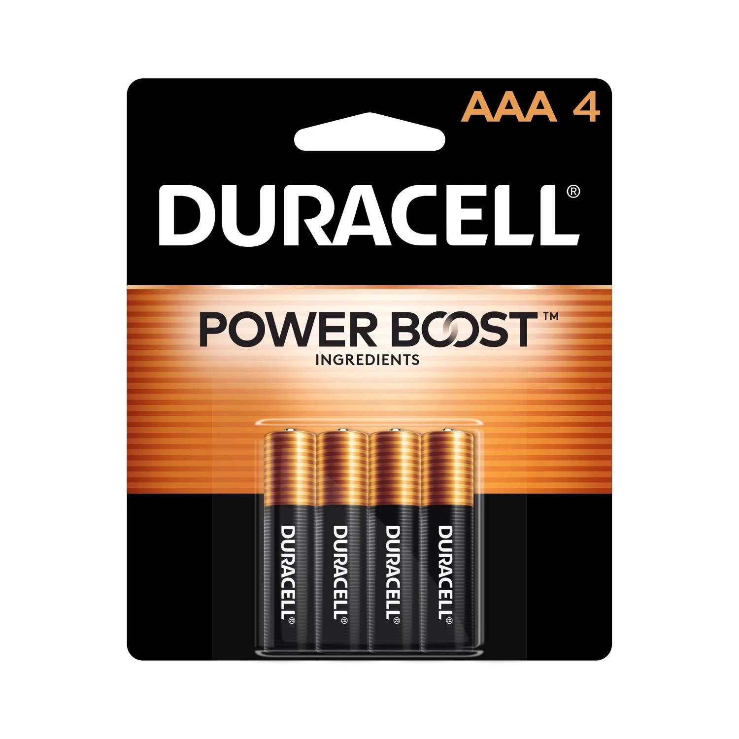4-packAaa Alkaline Batteries