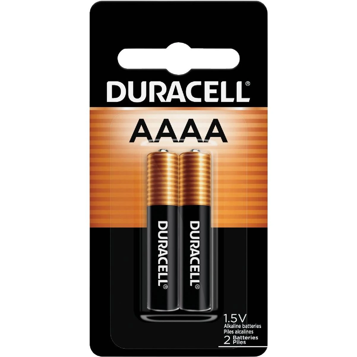 Aaaa Alkaline Battery (2-pack)