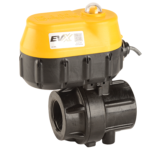 Banjo EVX150 1-1 /2