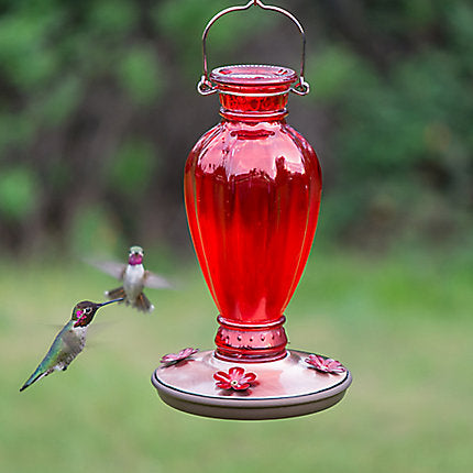 Perky-Pet Daisy Vase Vintage Hummingbird Feeder - 18 oz Nectar Capacity