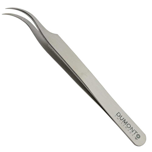 Dumont #7B Tweezer Stainless Serrated Tips