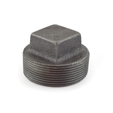 2" Black Plug (Imported)